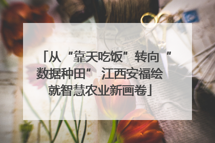 从“靠天吃饭”转向“数据种田” 江西安福绘就智慧农业新画卷