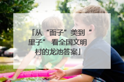 从“面子”美到“里子” 看全国文明村的龙池答案