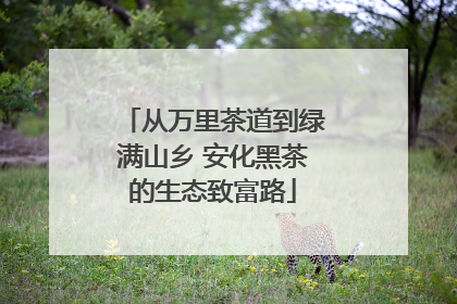 从万里茶道到绿满山乡 安化黑茶的生态致富路