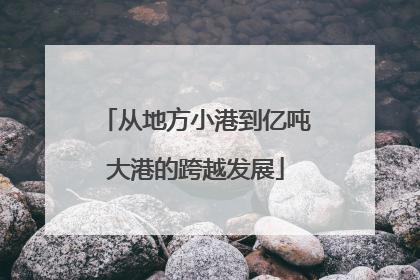 从地方小港到亿吨大港的跨越发展
