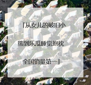 从女儿的破旧小熊到乐瓜睡觉抱枕全国销量第一