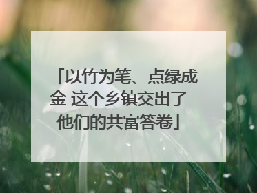 以竹为笔、点绿成金 这个乡镇交出了他们的共富答卷
