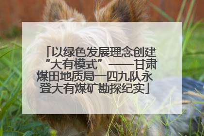 以绿色发展理念创建“大有模式”——甘肃煤田地质局一四九队永登大有煤矿勘探纪实