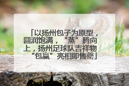 以扬州包子为原型，圆润饱满，“蒸”腾向上，扬州足球队吉祥物“包赢”亮相即售罄