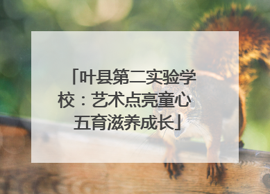 叶县第二实验学校：艺术点亮童心 五育滋养成长
