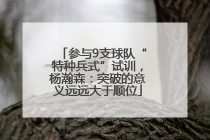 参与9支球队“特种兵式”试训，杨瀚森：突破的意义远远大于顺位