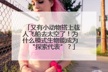 又有小动物搭上载人飞船去太空了！为什么模式生物能成为“探索代表”？