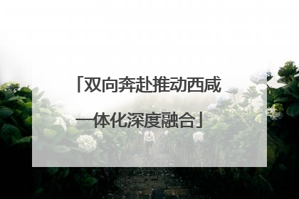 双向奔赴推动西咸一体化深度融合