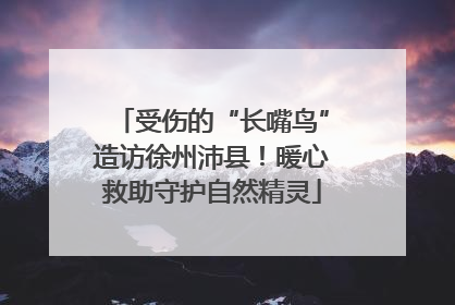 受伤的“长嘴鸟”造访徐州沛县！暖心救助守护自然精灵