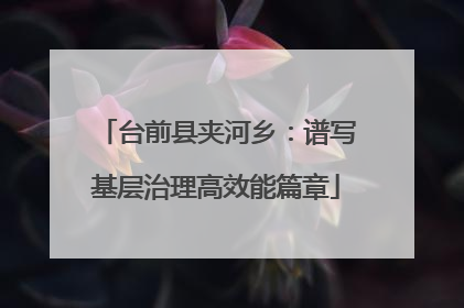 台前县夹河乡：谱写基层治理高效能篇章