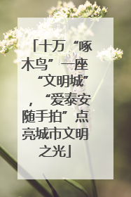 十万“啄木鸟”一座“文明城”，“爱泰安随手拍”点亮城市文明之光