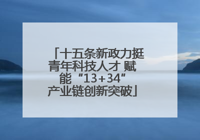 十五条新政力挺青年科技人才 赋能“13+34”产业链创新突破
