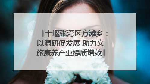 十堰张湾区方滩乡：以调研促发展 助力文旅康养产业提质增效