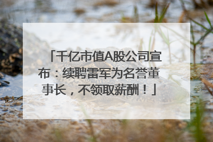 千亿市值A股公司宣布：续聘雷军为名誉董事长，不领取薪酬！