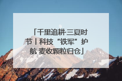 千里追耕·三夏时节丨科技“铁军”护航 麦收颗粒归仓