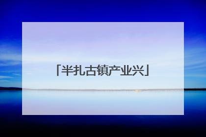 半扎古镇产业兴