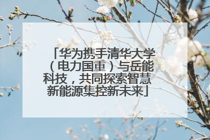 华为携手清华大学（电力国重）与岳能科技，共同探索智慧新能源集控新未来