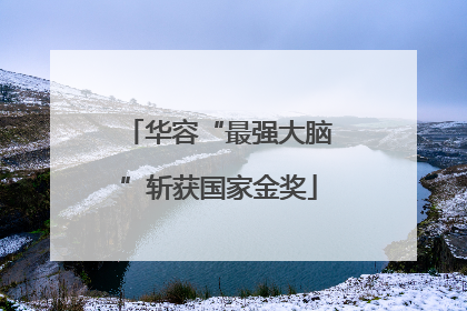 华容“最强大脑”斩获国家金奖