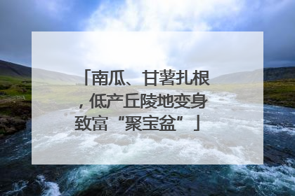 南瓜、甘薯扎根，低产丘陵地变身致富“聚宝盆”