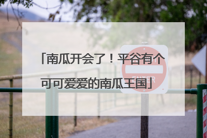 南瓜开会了！平谷有个可可爱爱的南瓜王国