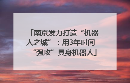 南京发力打造“机器人之城”：用3年时间“强攻”具身机器人