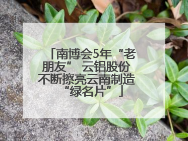 南博会5年“老朋友” 云铝股份不断擦亮云南制造“绿名片”
