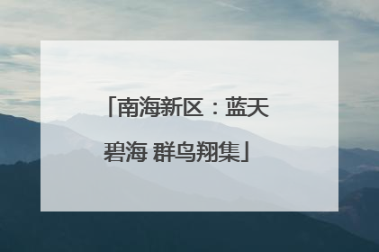 南海新区：蓝天碧海 群鸟翔集