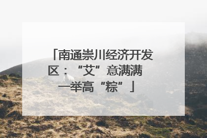 南通崇川经济开发区：“艾”意满满 一举高“粽”