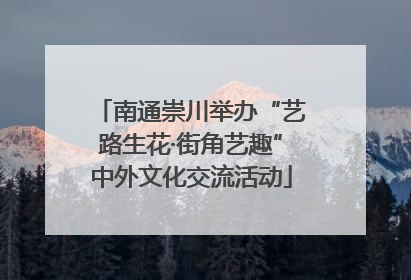 南通崇川举办“艺路生花·街角艺趣”中外文化交流活动