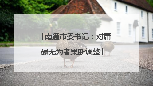 南通市委书记：对庸碌无为者果断调整
