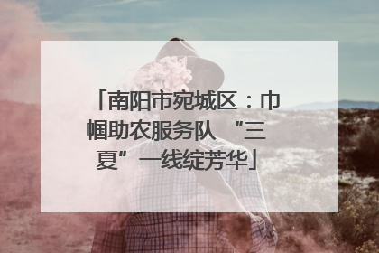 南阳市宛城区：巾帼助农服务队 “三夏”一线绽芳华