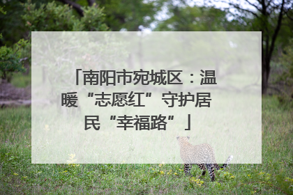 南阳市宛城区：温暖“志愿红”守护居民“幸福路”