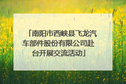南阳市西峡县飞龙汽车部件股份有限公司赴台开展交流活动