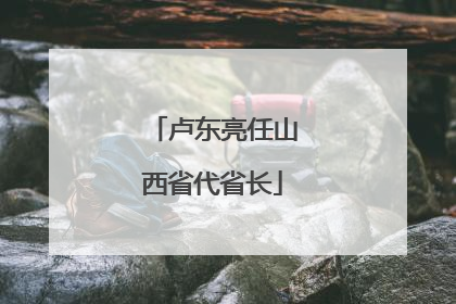 卢东亮任山西省代省长