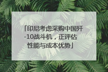 印尼考虑采购中国歼-10战斗机，正评估性能与成本优势
