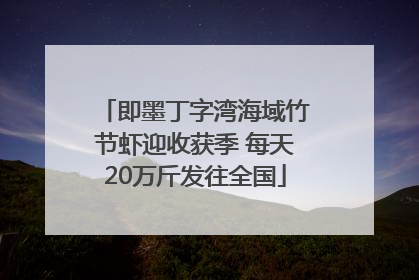 即墨丁字湾海域竹节虾迎收获季 每天20万斤发往全国