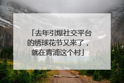 去年引爆社交平台的绣球花节又来了，就在青浦这个村