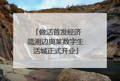 做活首发经济 赣湘边奥莱数字生活城正式开业