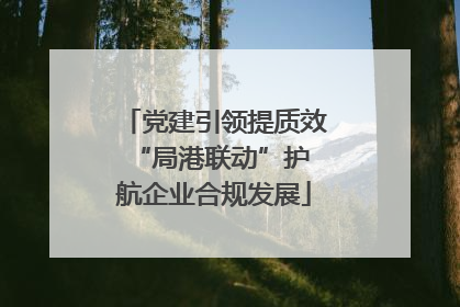 党建引领提质效 “局港联动”护航企业合规发展