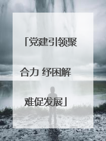党建引领聚合力 纾困解难促发展