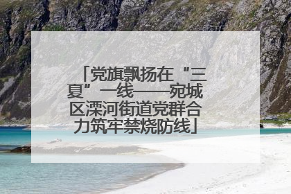党旗飘扬在“三夏”一线——宛城区溧河街道党群合力筑牢禁烧防线