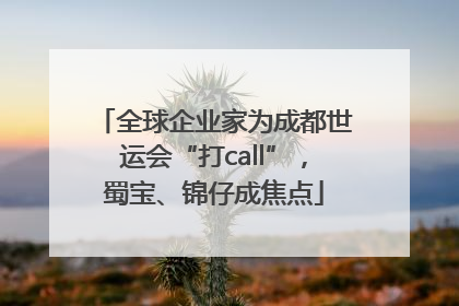 全球企业家为成都世运会“打call”，蜀宝、锦仔成焦点