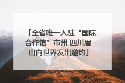 全省唯一入驻“国际合作馆”市州 四川眉山向世界发出邀约