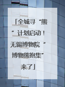 全城寻“熊”计划启动！无锡博物院“博物熊抱集”来了