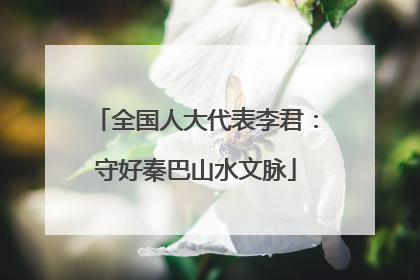 全国人大代表李君：守好秦巴山水文脉