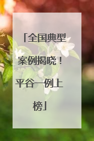 全国典型案例揭晓!平谷一例上榜