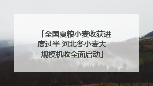 全国夏粮小麦收获进度过半 河北冬小麦大规模机收全面启动