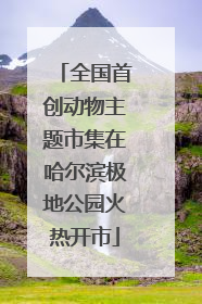 全国首创动物主题市集在哈尔滨极地公园火热开市