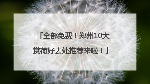 全部免费！郑州10大赏荷好去处推荐来啦！