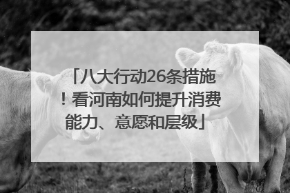 八大行动26条措施！看河南如何提升消费能力、意愿和层级